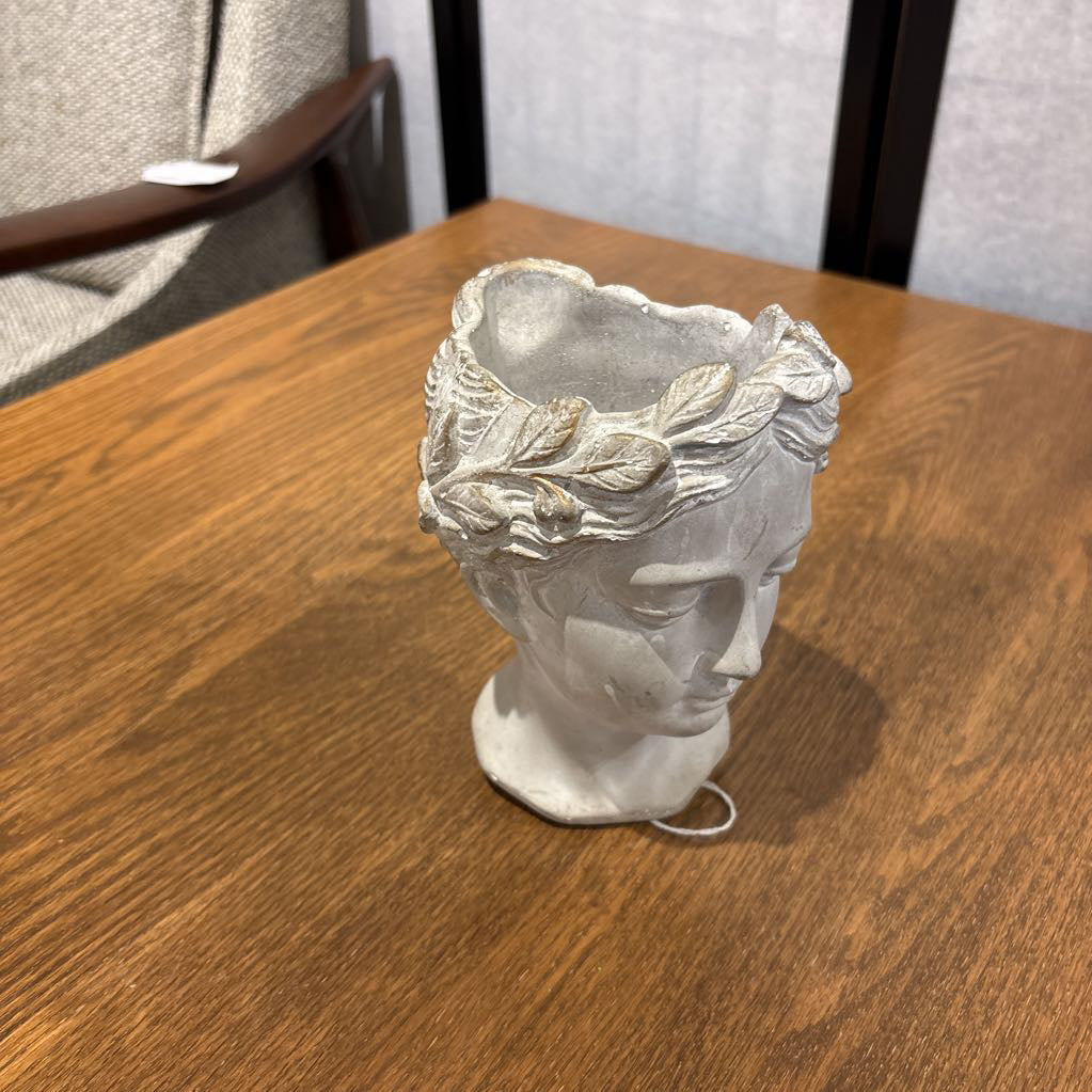 Anthropology Greek Bust
