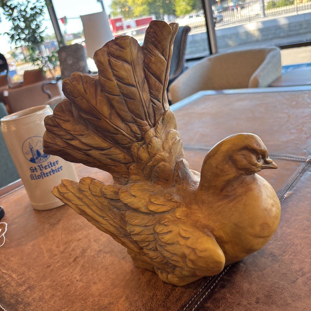 Pigeon