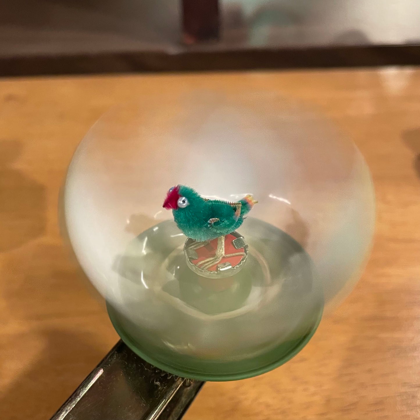 Bird in Shell Toy in Box