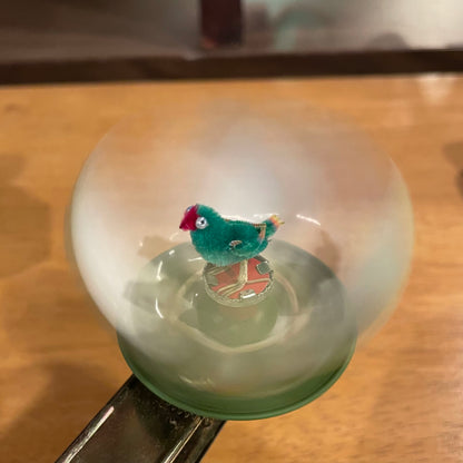 Bird in Shell Toy in Box