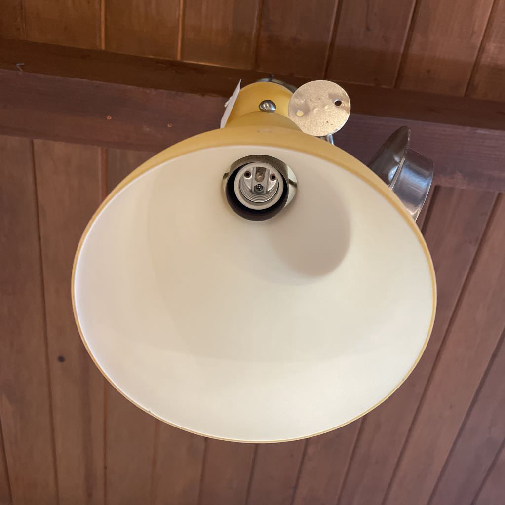 Tangerine Sculpted Pendant Light