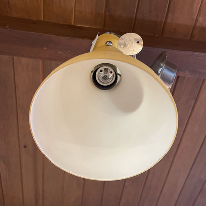Tangerine Sculpted Pendant Light