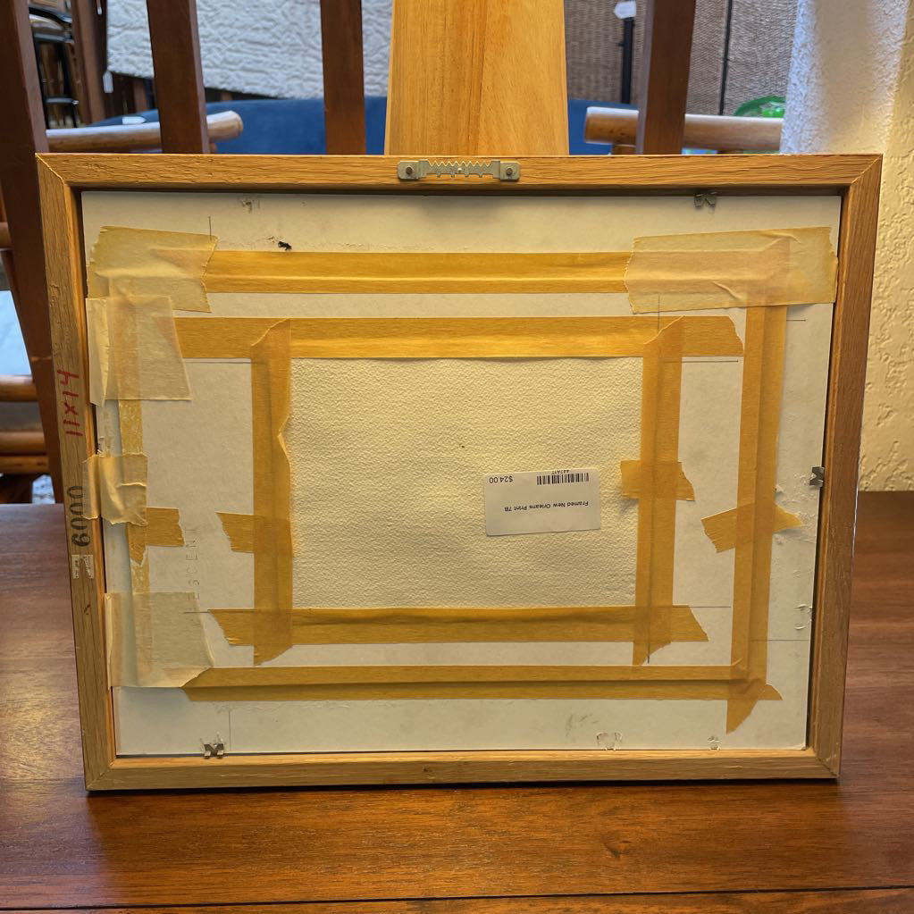 Framed New Orleans Print