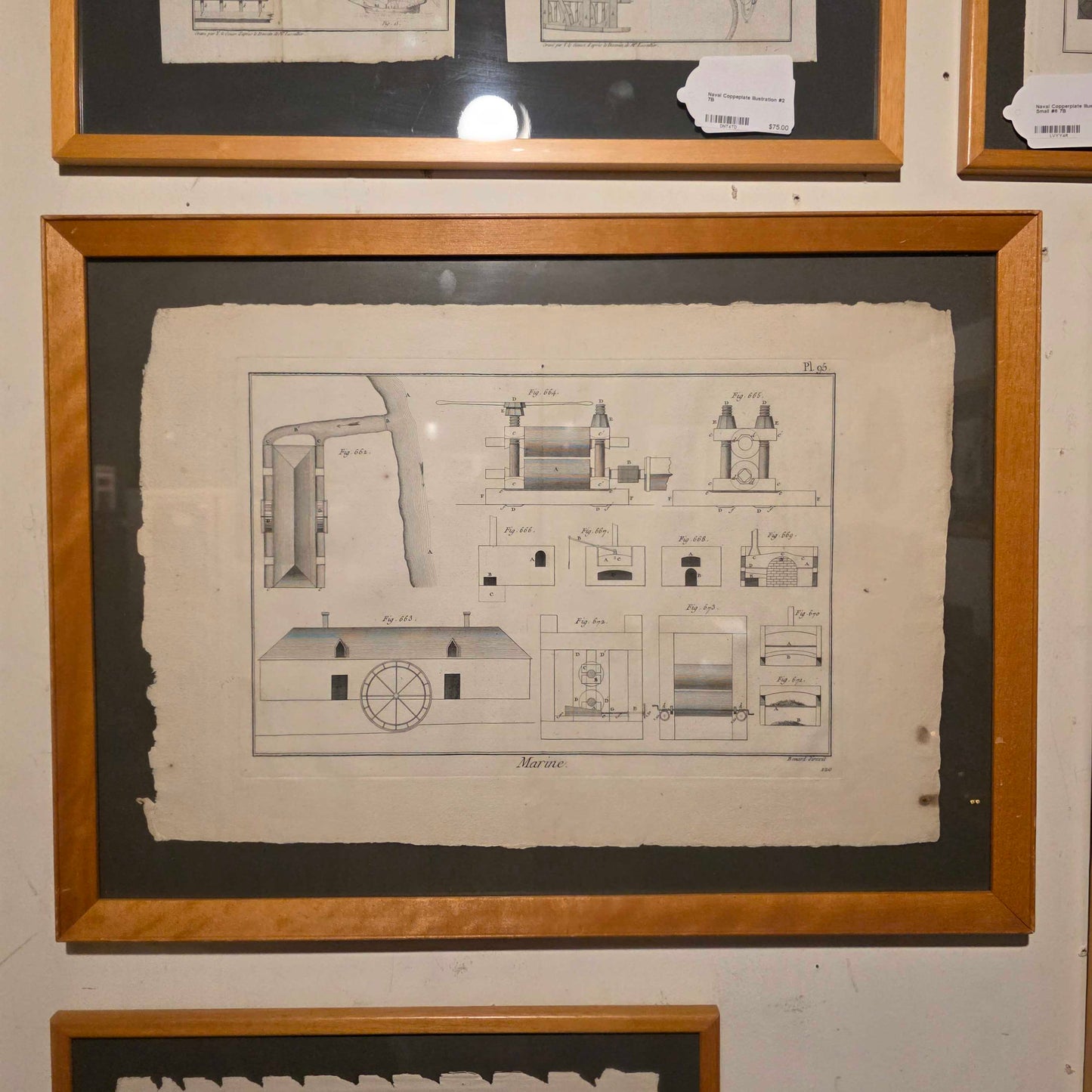 Navel Copper Plate Illustration #1
