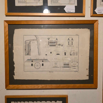 Navel Copper Plate Illustration #1