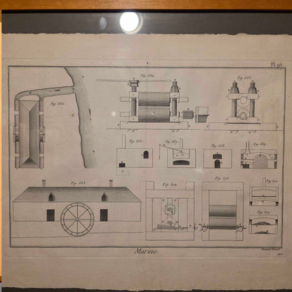 Navel Copper Plate Illustration #1