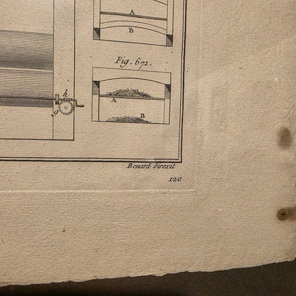 Navel Copper Plate Illustration #1