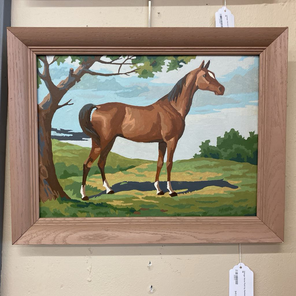 Vintage Horse Paint by Numbers ART