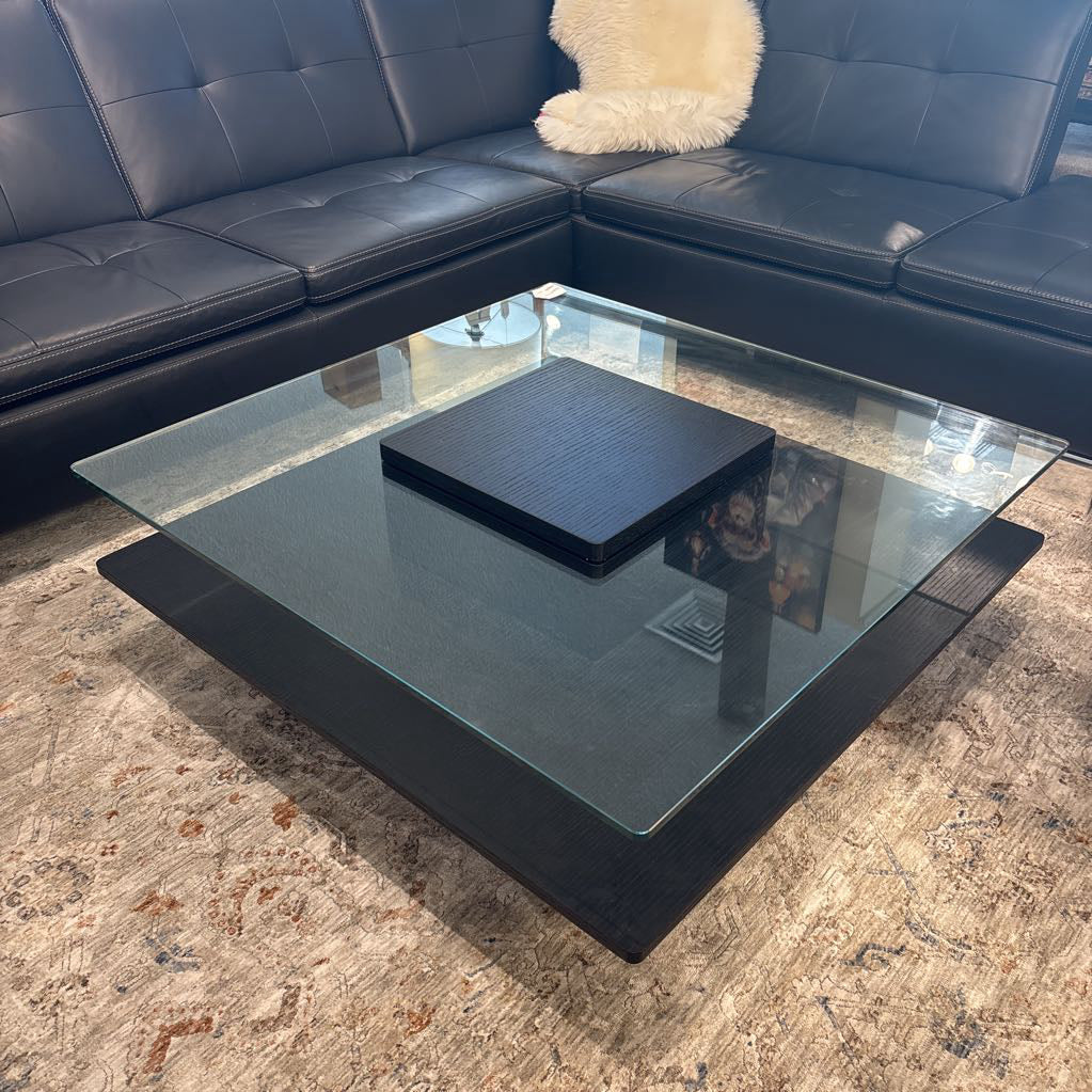 Modern Black Glass Top Coffee Table Dania