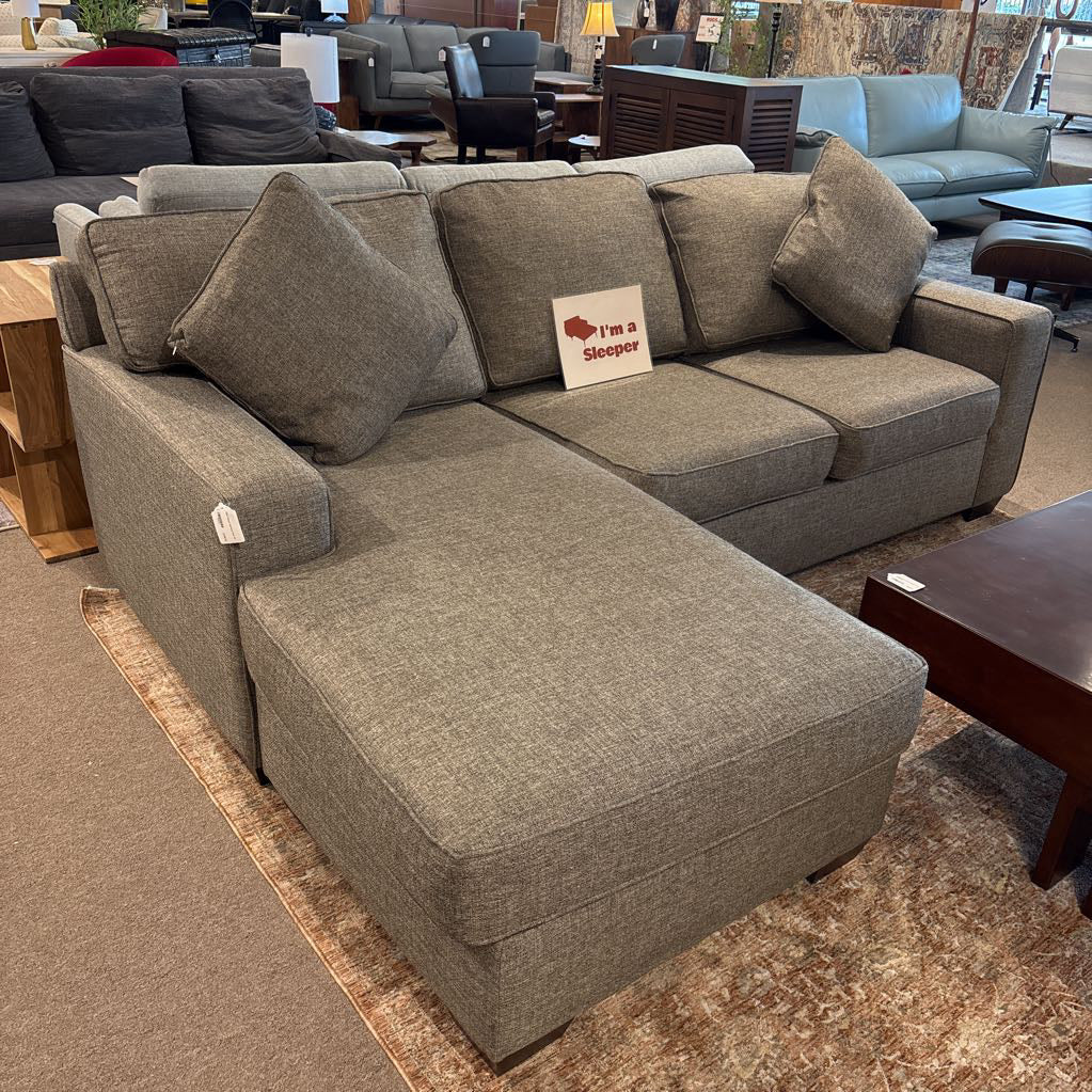 Dania Sleeper Sectional Sofa