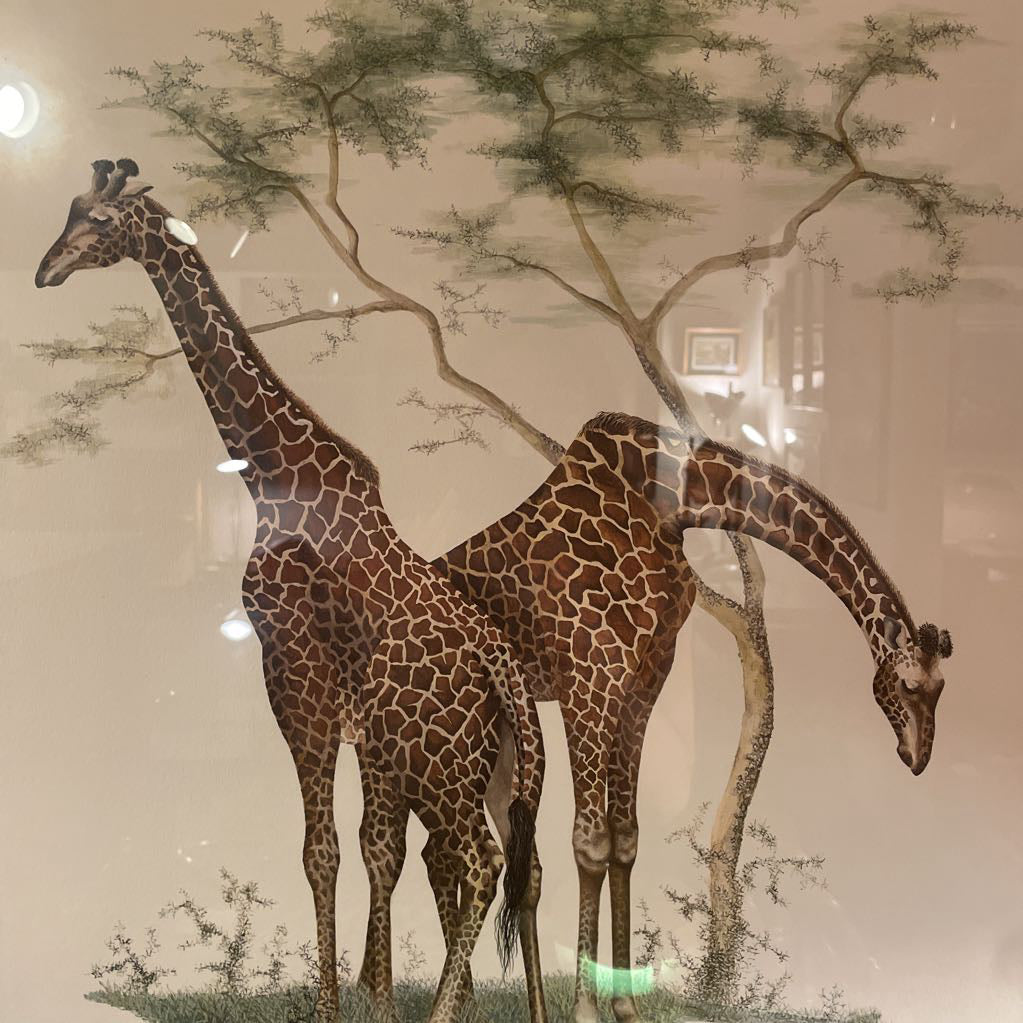 2 Giraffes Framed Art