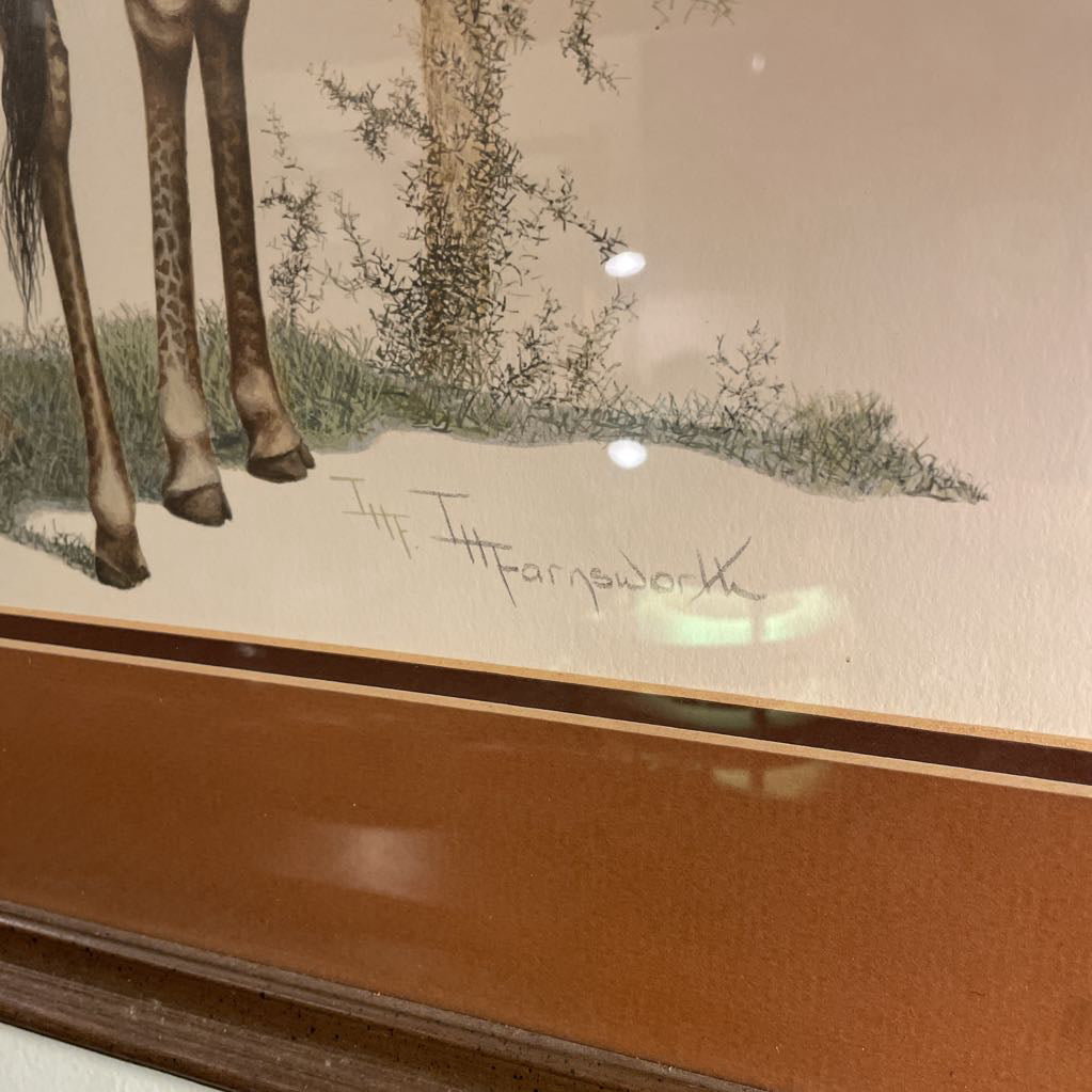 2 Giraffes Framed Art