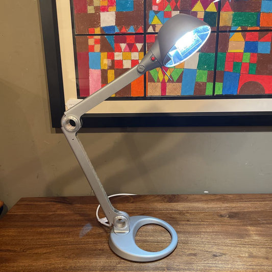 DWR Silver Adjustable Desk Lamp LAMPS