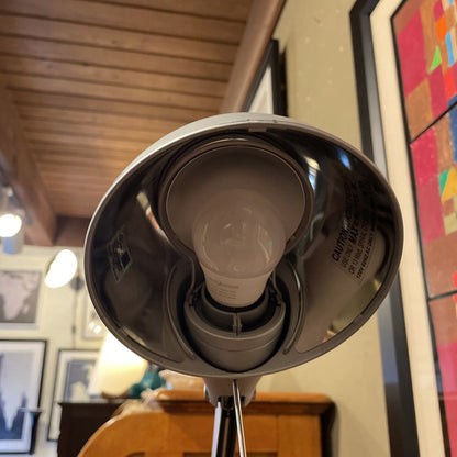 DWR Silver Adjustable Desk Lamp LAMPS