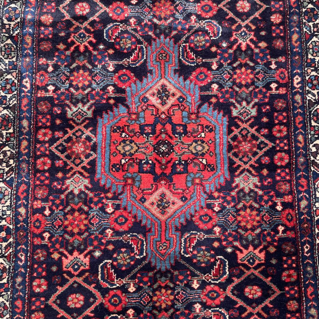 3.6 x 10.2 Hamedan Hand Knotted Rug