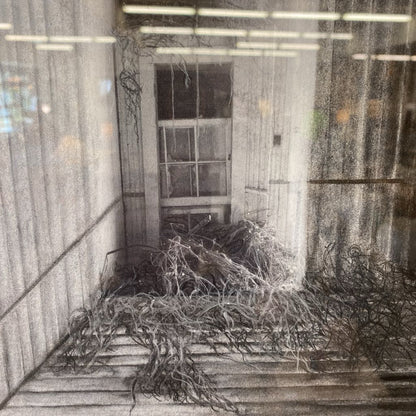 Signed Charcoal Door & Twigs Art