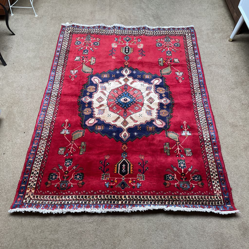 4.9 x 6.7 Sirjan Hand Knotted Rug