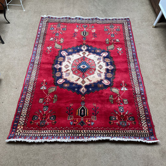4.9 x 6.7 Sirjan Hand Knotted Rug RUGS
