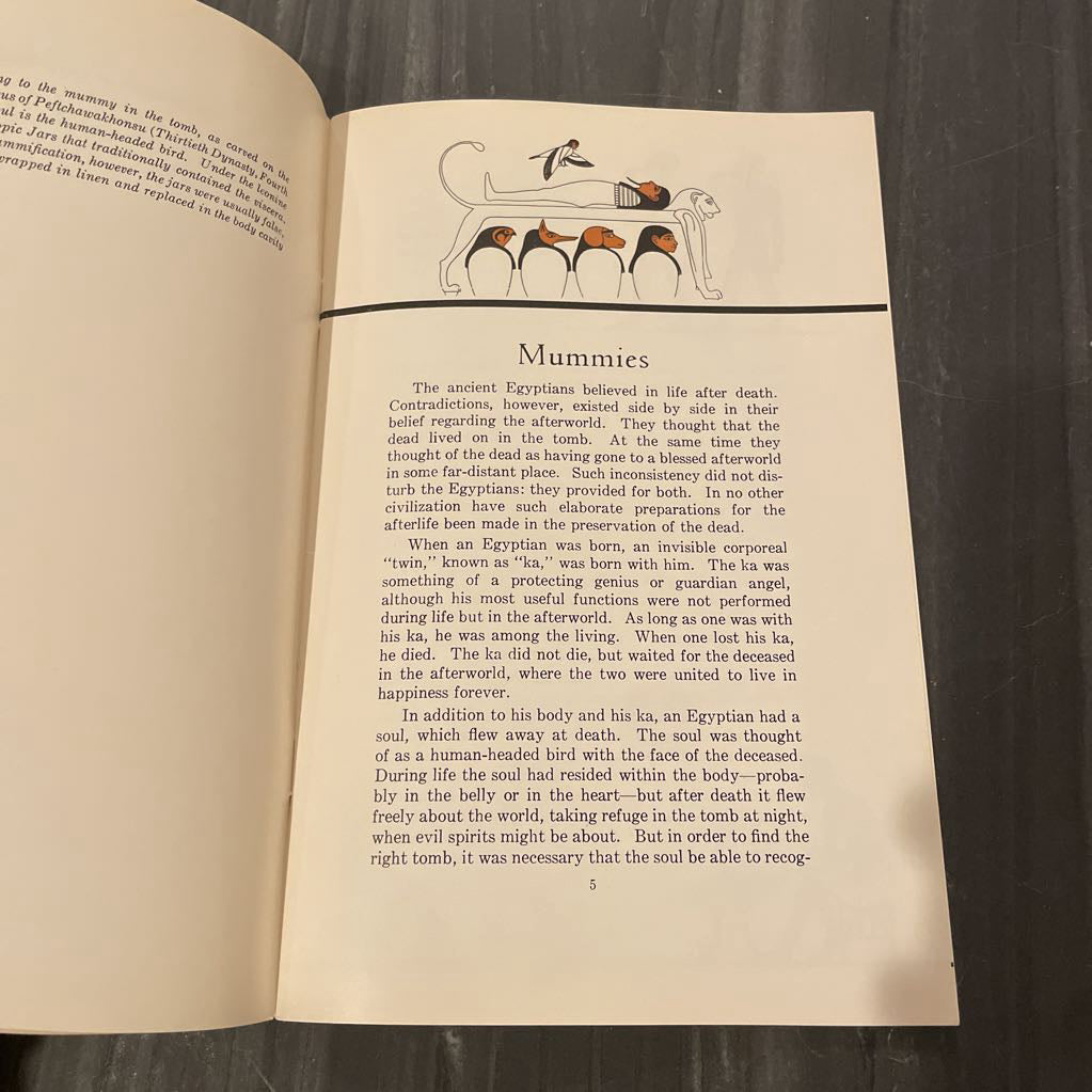 Mummies Booklet SMALLS