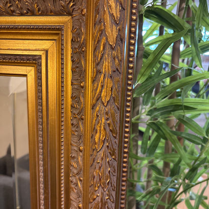 Medium Gold Frame Mirror C MIRRORS