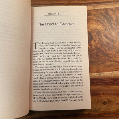 2001 A Space Odyssey Paperback