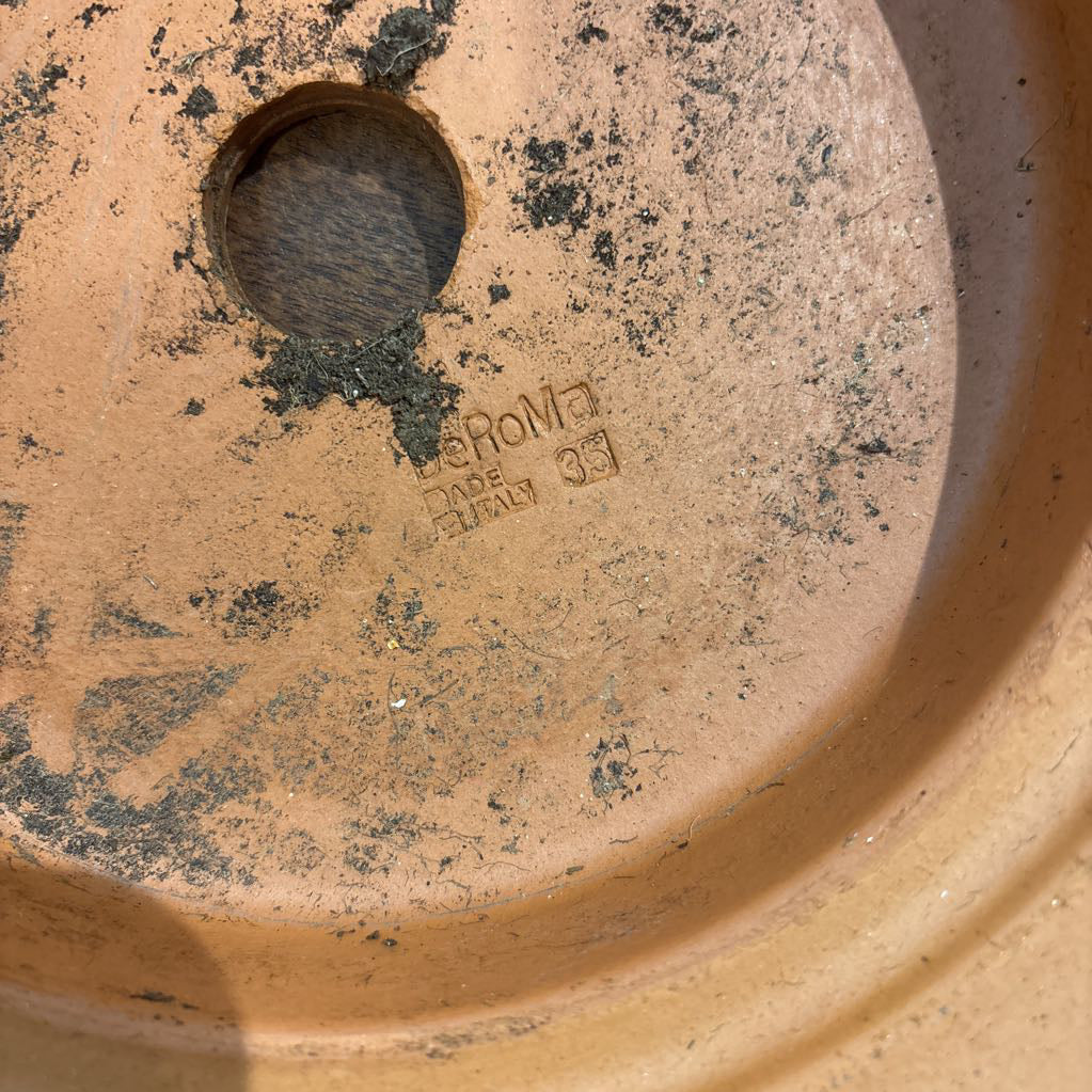 Orange Italian Terracotta Pot SMALLS