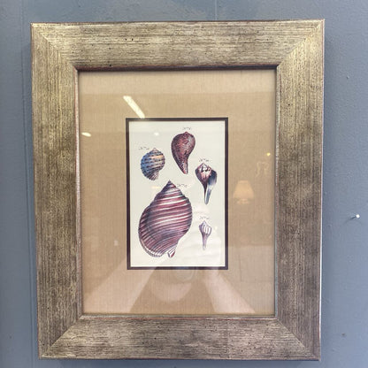 Sea Shell Art ART
