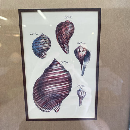 Sea Shell Art ART