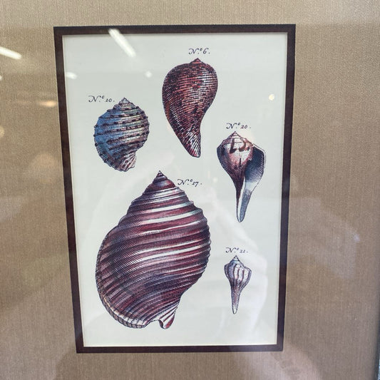 Sea Shell Art