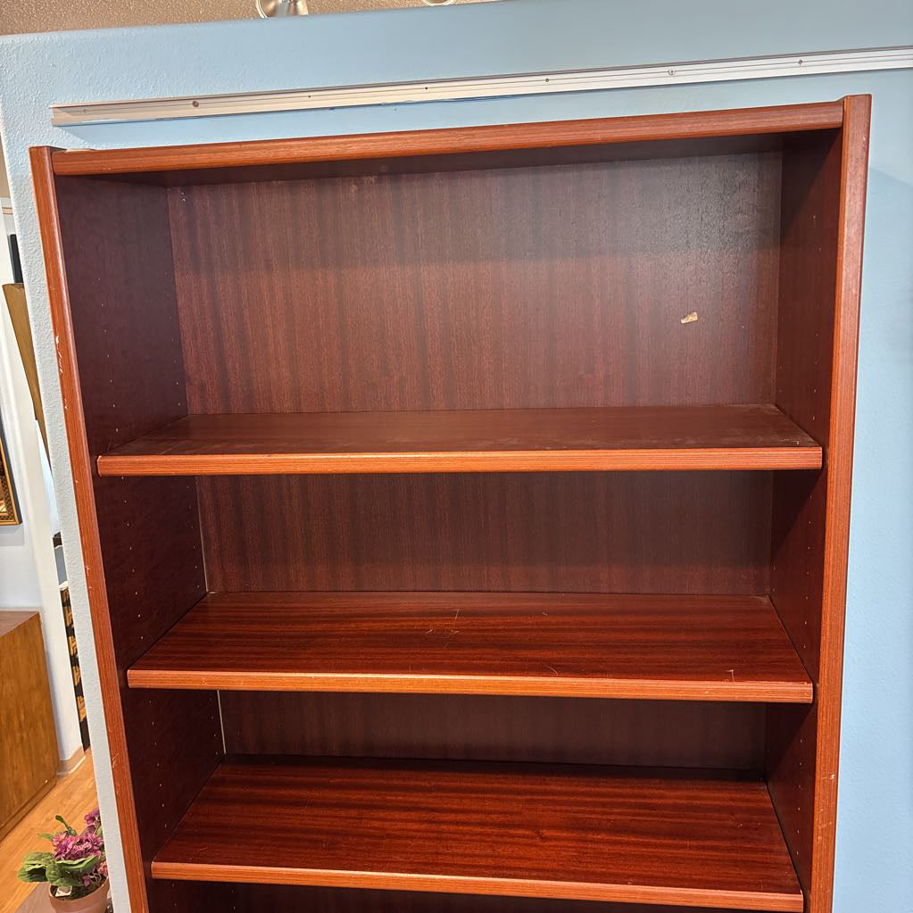Dania Dark Wood Tall Book Shelf