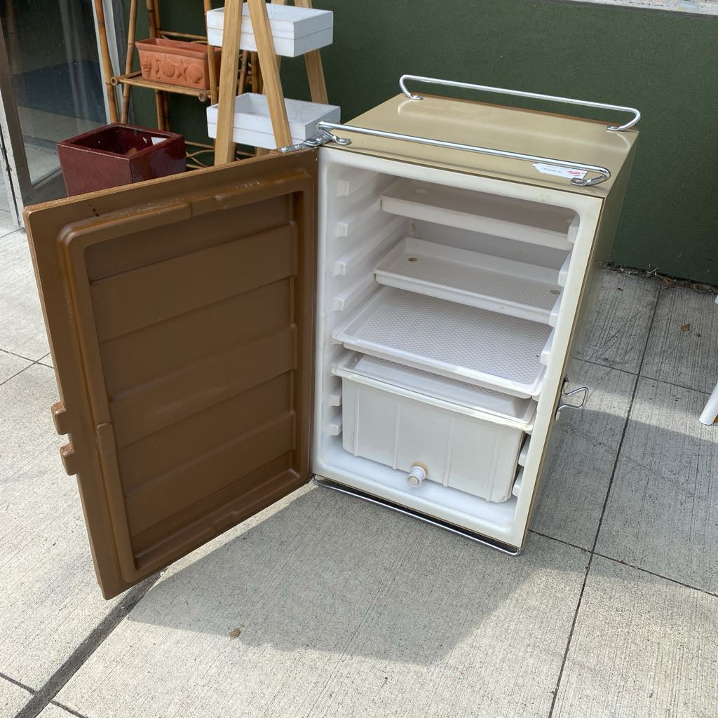Vintage COLEMAN Fridge Style Cooler UNIQUE FINDS