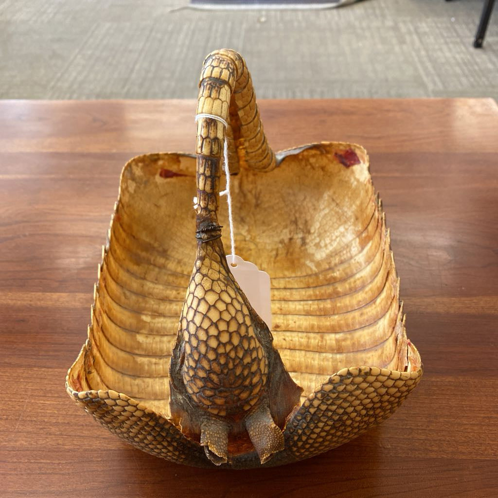 Armadillo Skin Basket