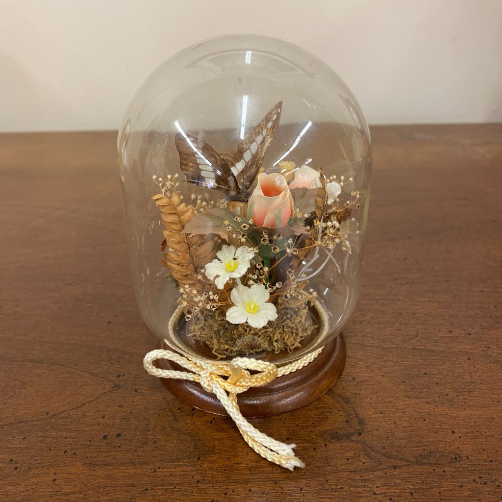 Butterfly Taxidermy w/Flowers in Glass Dome