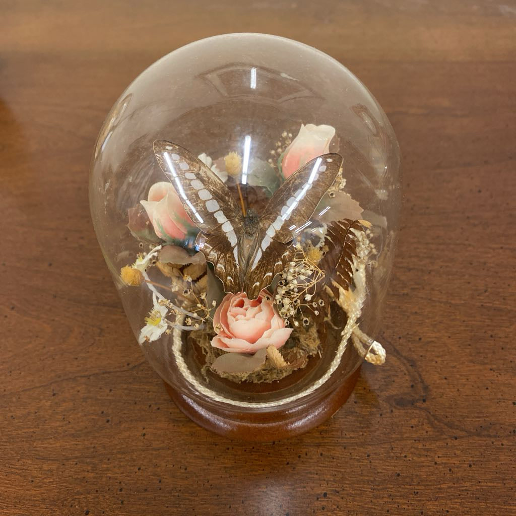 Butterfly Taxidermy w/Flowers in Glass Dome