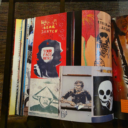 Street Art San Francisco/Mission Muralismo Book