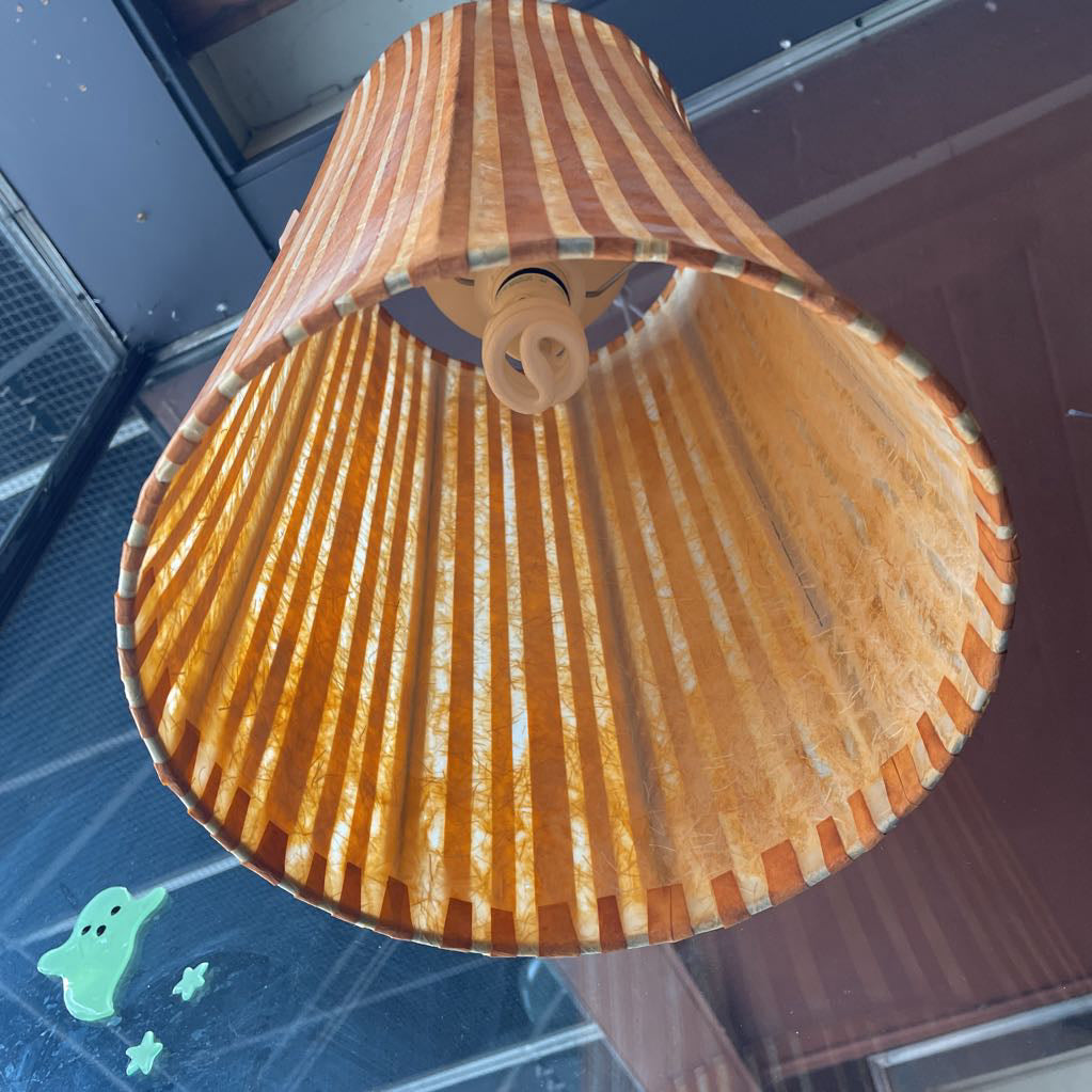 Striped Pendant Light