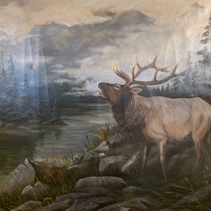 Large Framed Woodland Elk Painting