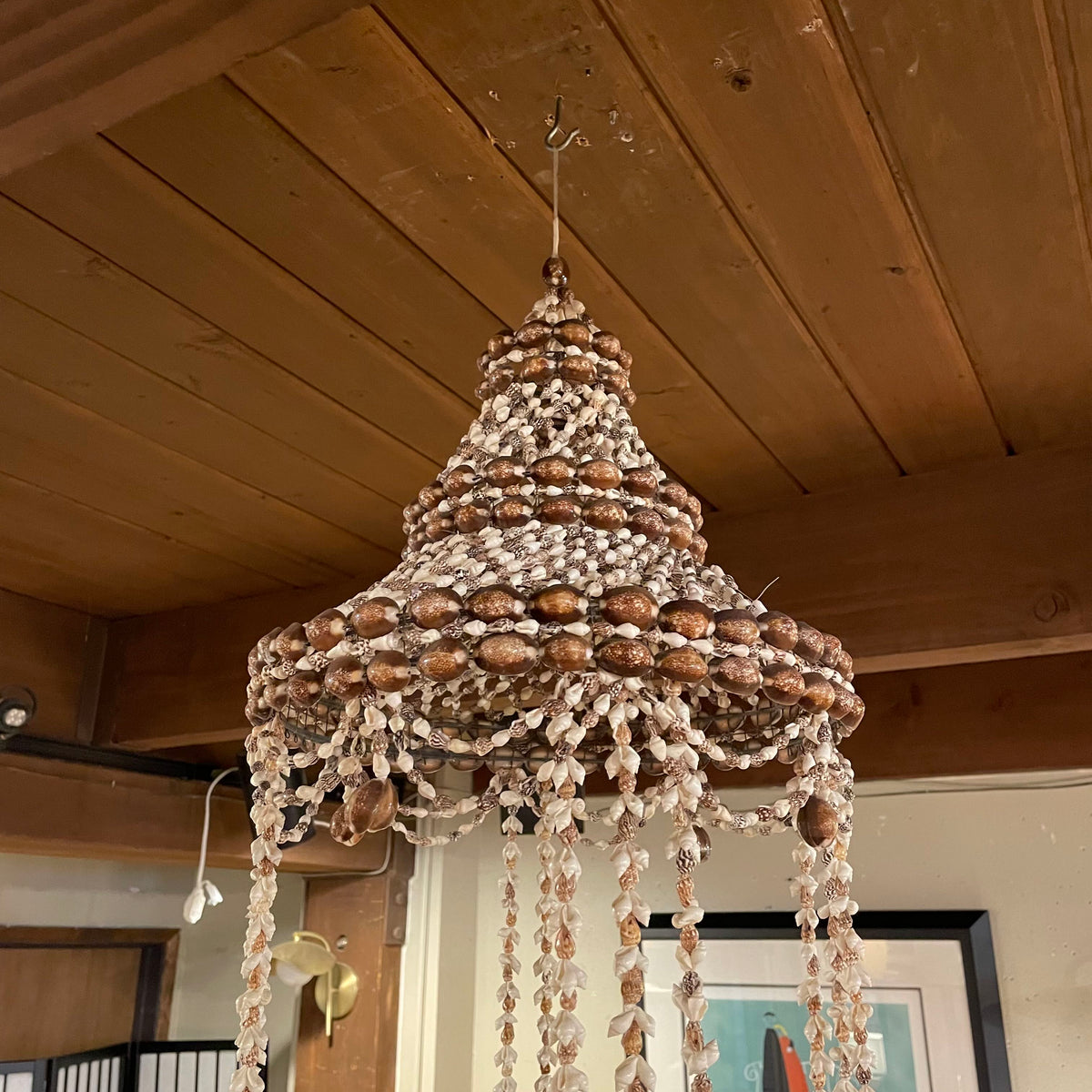 Sea Shell "Chandelier"