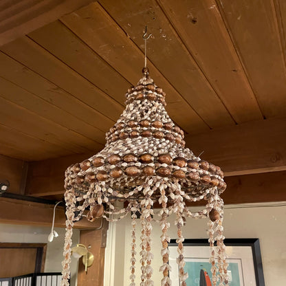 Sea Shell "Chandelier"