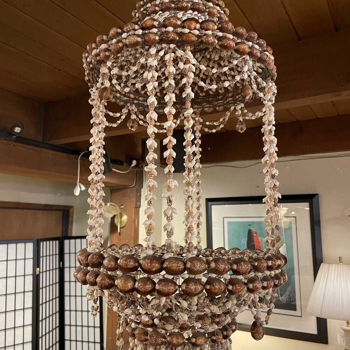 Sea Shell "Chandelier"