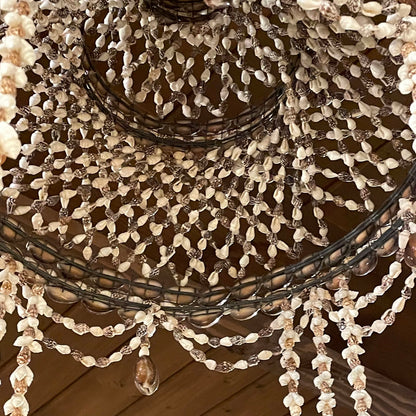 Sea Shell "Chandelier"