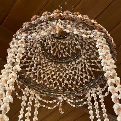 Sea Shell "Chandelier"