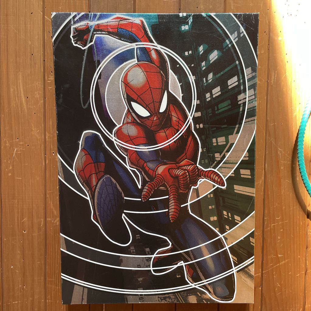 Shiny Canvas Spiderman Art
