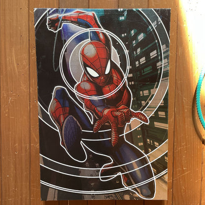 Shiny Canvas Spiderman Art