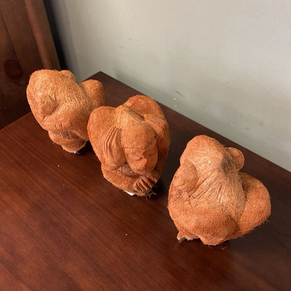 See Hear Speak No Evil Coconut Monkeys SET
