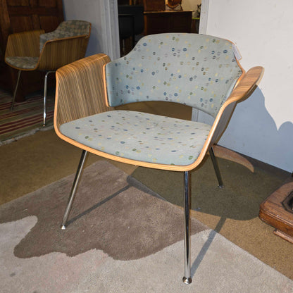 Stylex Bentwood Armchair w/ Blue Dotted Seats