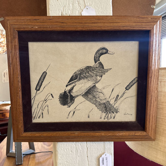Vintage Mallard Etching By Gene Murray