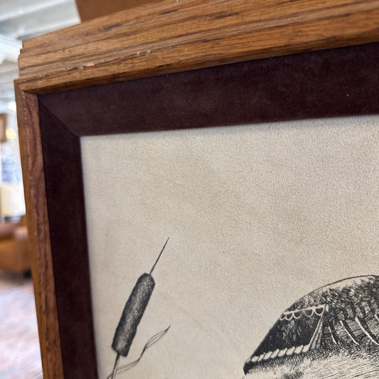 Vintage Mallard Etching By Gene Murray