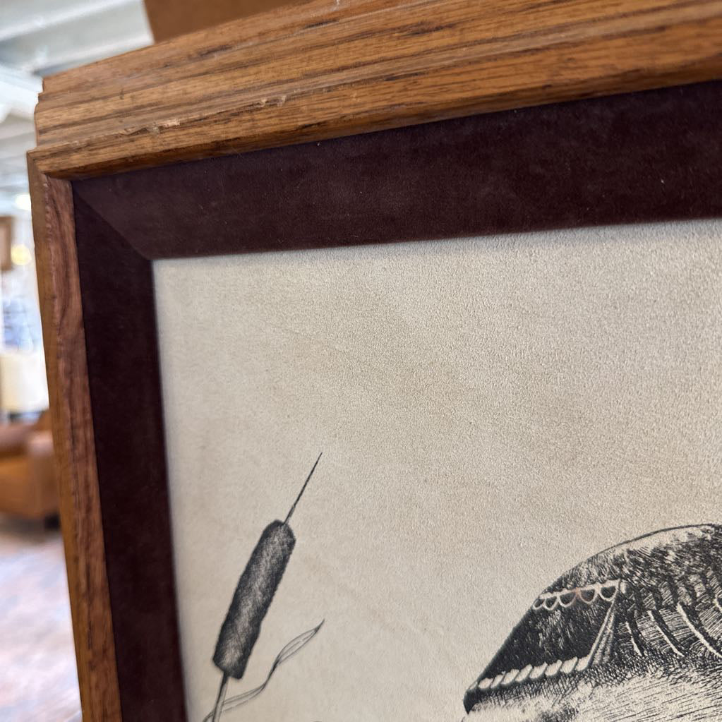 Vintage Mallard Etching By Gene Murray ART