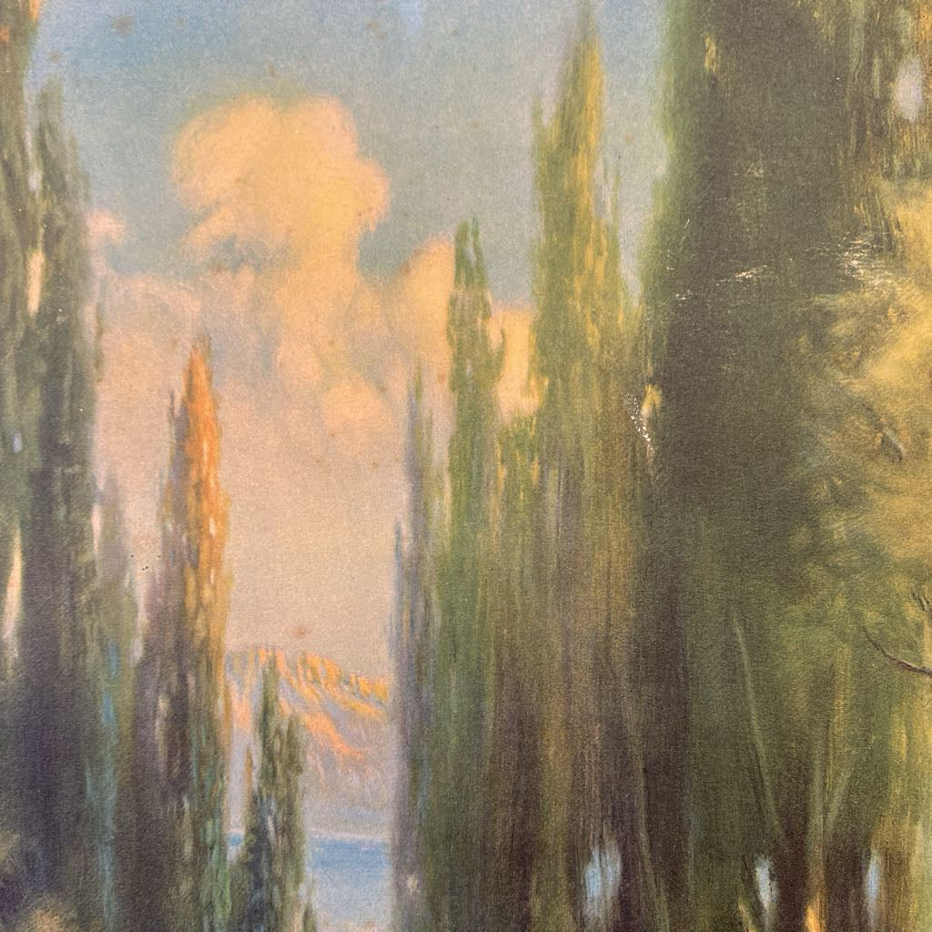 Vintage Tall Trees Art
